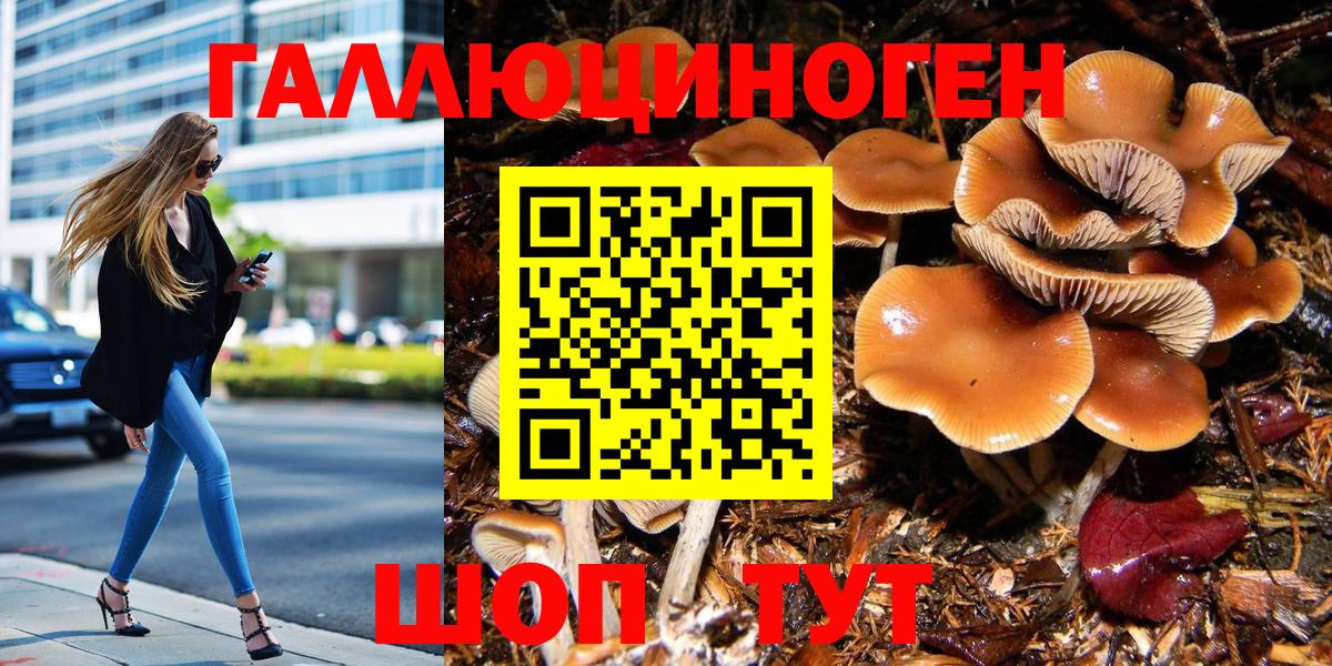 Ногинск  Галлюциногенные грибы Magic Shrooms  Вход с VPN  Галлюциногенные грибы Psilocybe 