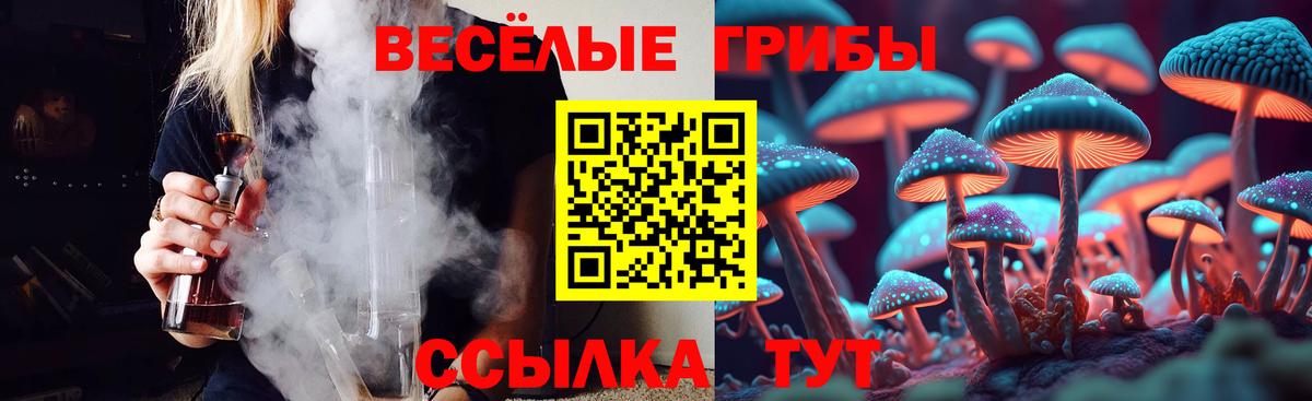 Галлюциногенные грибы Psilocybine cubensis Ногинск